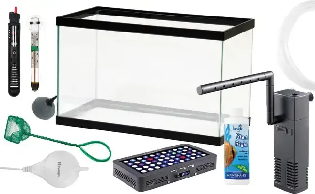 Essential Fishkeeping Equipment for Beginners